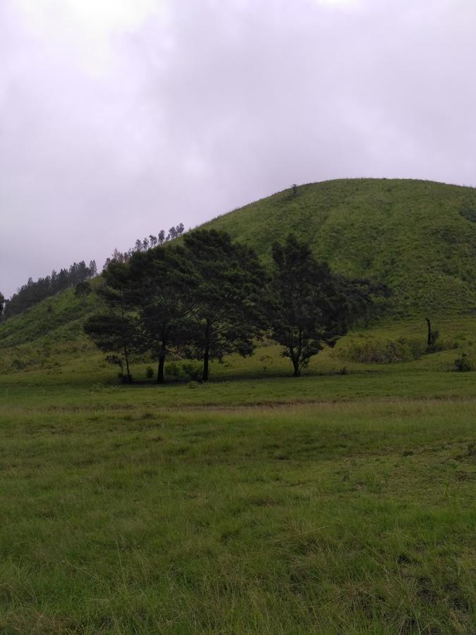 Ljen Volcano Bed N Tour Licin Exterior photo