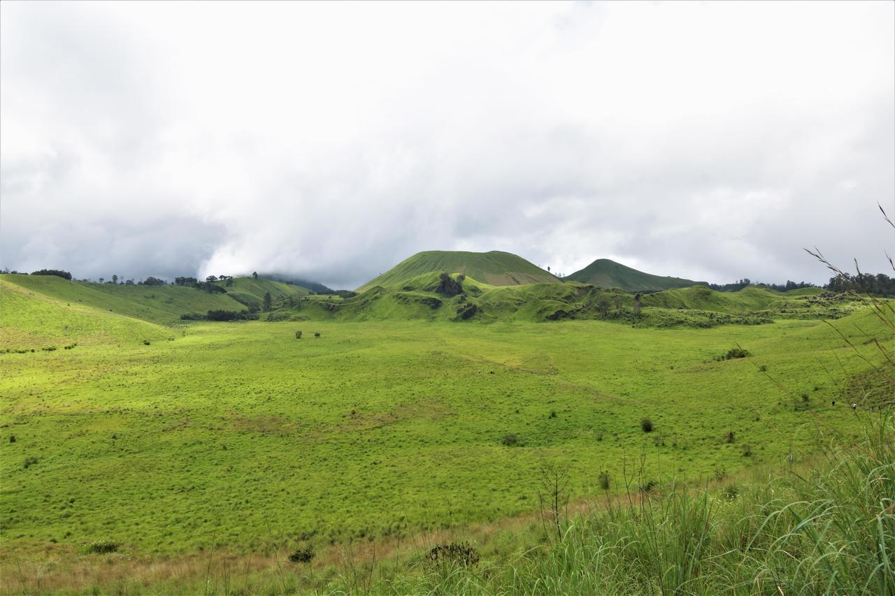 Ljen Volcano Bed N Tour Licin Exterior photo